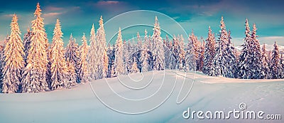 Colorful winter panorama of snowy mountains. Stock Photo