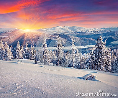 Colorful winter sunrise in the mountains. Stock Photo