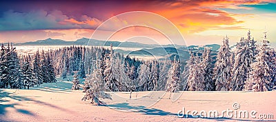 Colorful winter sunrise in the snowy mountains. Stock Photo