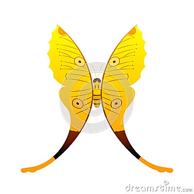 Colorful yellow butterfly with abstract decorative pattern summer free fly present silhouette and beauty nature spring Vector Illustration