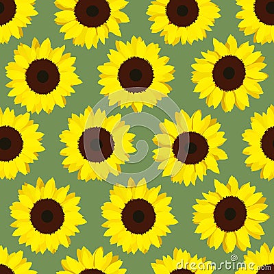 Colorful yellow sunflowers. Seamless pattern. Vector Illustration