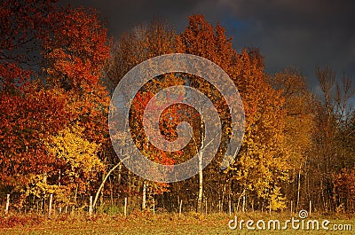 Colorfull fall Stock Photo