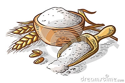 Colorfull fresh flour wooden dish scoop on white background vector Vector Illustration