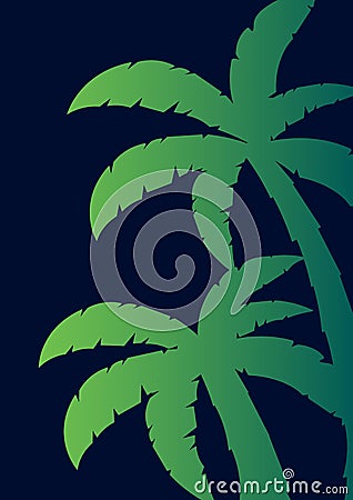 Colorfull Palms with dark background. Vector illustration. Cartoon Illustration