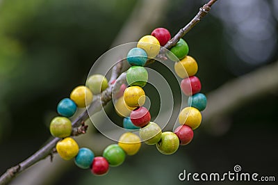 Colorfull wood beads on thread, fashionable beaded bracelets, bright beautiful colors green red yellow and light blue Stock Photo