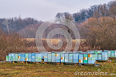 Colorfully painted wooden beehives, honey bee farm in nature Stock Photo