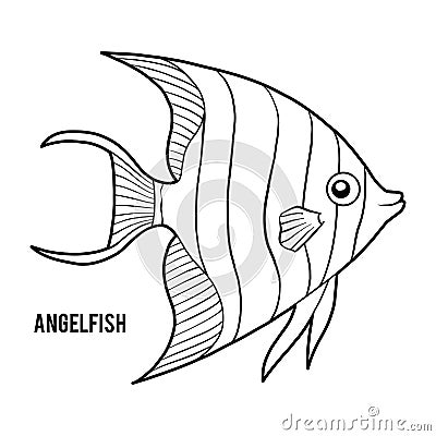 Coloring book, Angelfish Vector Illustration