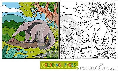 Coloring book (anteater) Vector Illustration