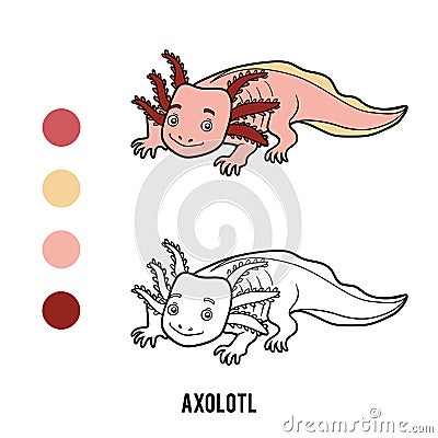 Coloring book, Axolotl Vector Illustration