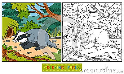 Coloring book (badger and background) Vector Illustration