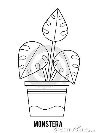 Coloring book. Cartoon collection of Houseplants, Monstera Vector Illustration