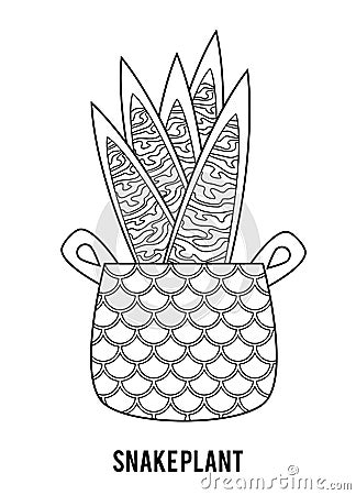 Coloring book. Cartoon collection of Houseplants, Snake plant Vector Illustration
