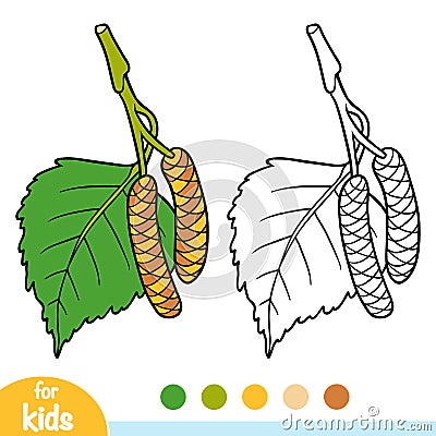 Coloring book, Birch leaf Vector Illustration
