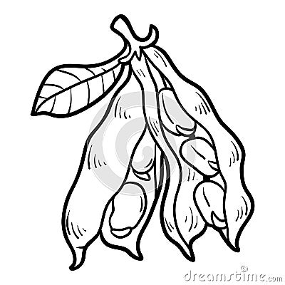 Coloring book, Broad beans Vector Illustration