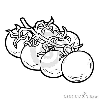 Coloring book, Cherry tomatoes Vector Illustration