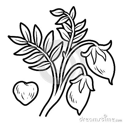 Coloring book for kids, Chickpea Vector Illustration
