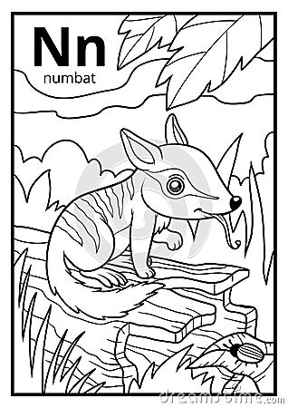 Coloring book, colorless alphabet. Letter N, numbat Vector Illustration