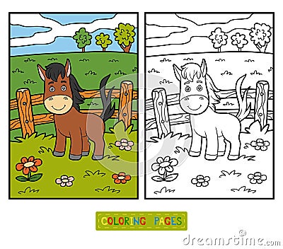 Coloring book for children (horse and background) Vector Illustration