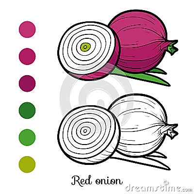 Coloring book, Red onion Vector Illustration