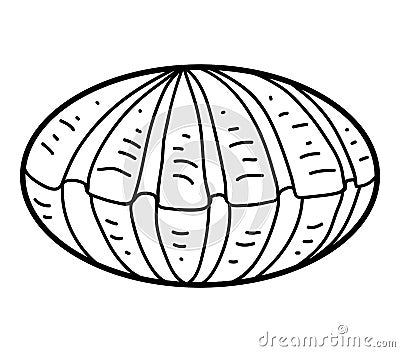 Coloring book, Shell Vector Illustration