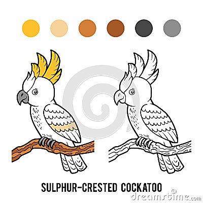 Coloring book, Sulphur-crested cockatoo Vector Illustration