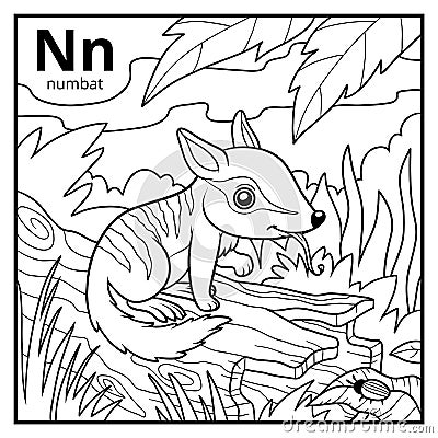 Coloring book, colorless alphabet. Letter N, numbat Vector Illustration