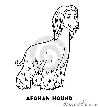 Coloring book, Dog breeds: Afghan hound Vector Illustration