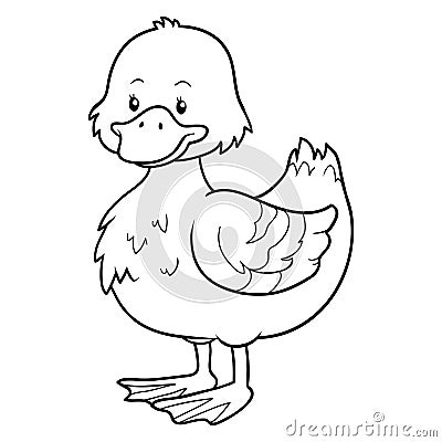 Coloring book (duck) Vector Illustration