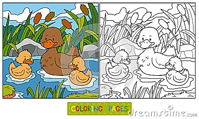 Coloring book (duck) Vector Illustration