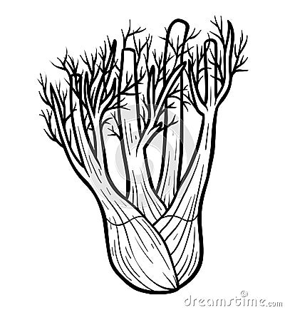 Coloring book, Fennel Vector Illustration