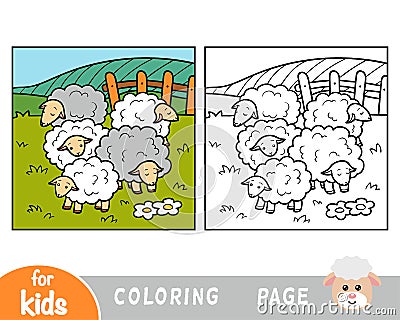 Coloring book, Five sheep Vector Illustration