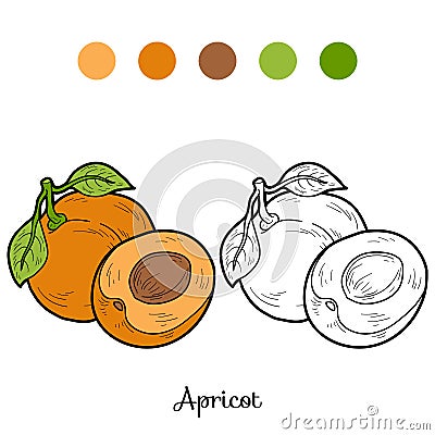 Coloring book: fruits and vegetables (apricot) Vector Illustration