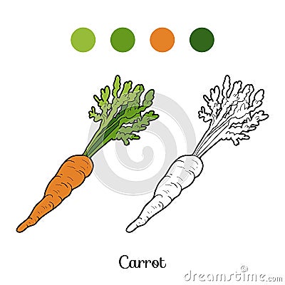 Coloring book: fruits and vegetables (carrot) Vector Illustration