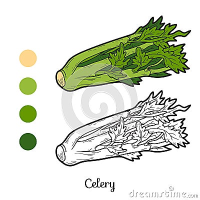 Coloring book: fruits and vegetables (celery) Vector Illustration