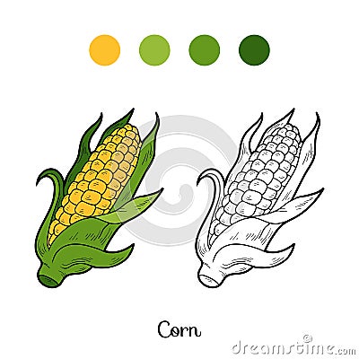 Coloring book: fruits and vegetables (corn) Vector Illustration