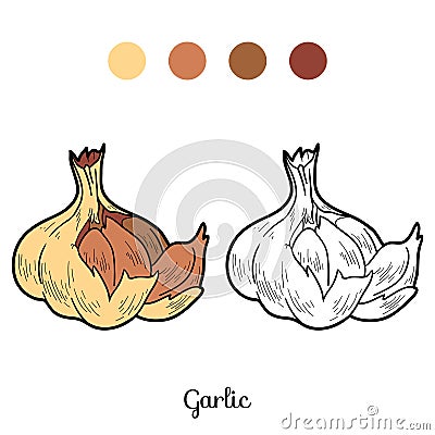 Coloring book: fruits and vegetables (garlic) Vector Illustration