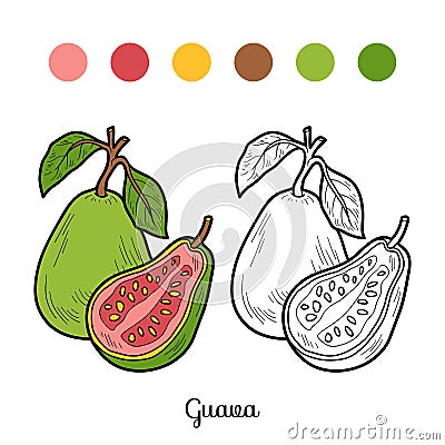 Coloring book: fruits and vegetables (guava) Vector Illustration