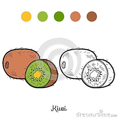 Coloring book: fruits and vegetables (kiwi) Vector Illustration