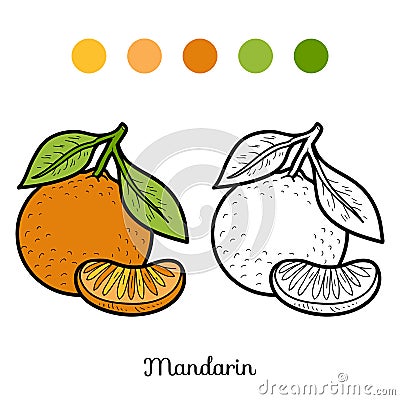 Coloring book: fruits and vegetables (mandarin) Vector Illustration