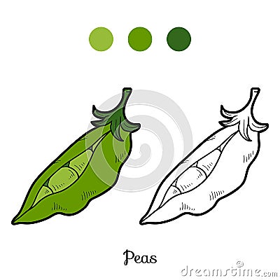 Coloring book: fruits and vegetables (peas) Vector Illustration