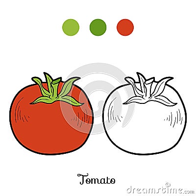 Coloring book: fruits and vegetables (tomato) Vector Illustration