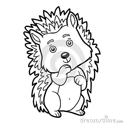 Coloring book, Hedgehog Vector Illustration