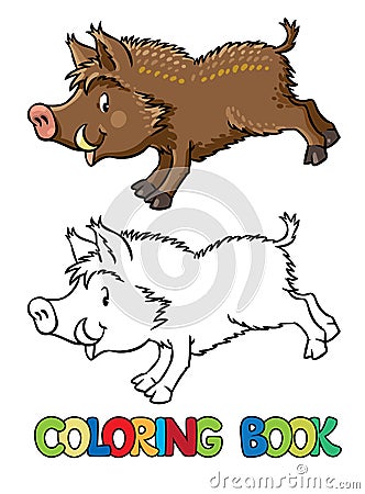 Coloring book of little funny boar or wild pig Vector Illustration