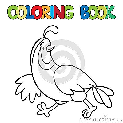 Coloring book of little quail Stock Photo