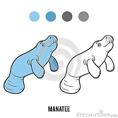 Coloring book, Manatee Vector Illustration