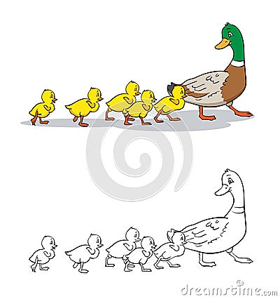 Coloring book. Mother duck and ducklings. Vector Illustration