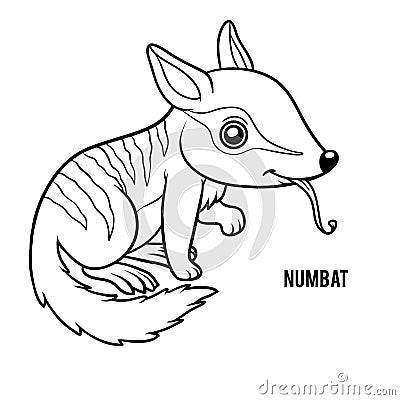 Coloring book, Numbat Vector Illustration