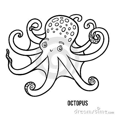 Coloring book, Octopus Vector Illustration