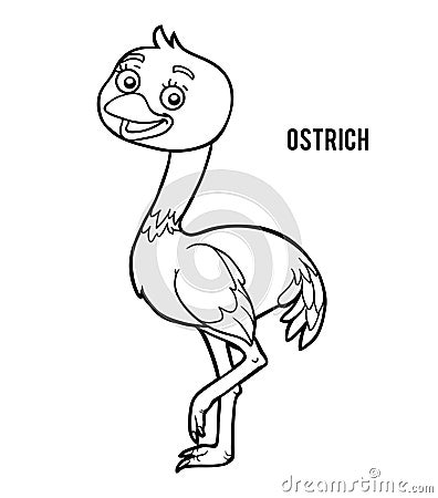 Coloring book, Ostrich Vector Illustration