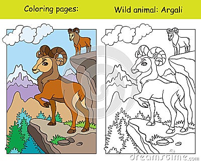 Coloring book page and color template argali Vector Illustration